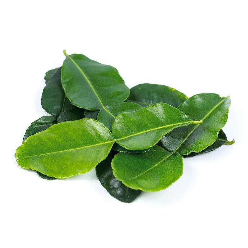 LEMON LEAF